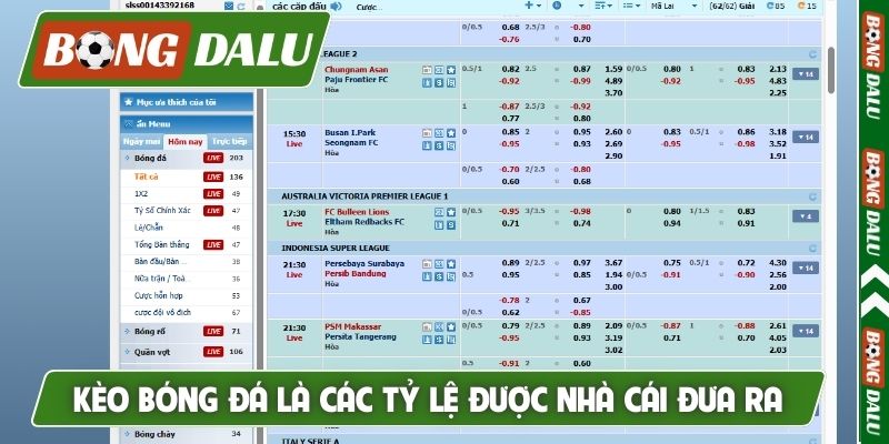 Kèo bóng đá là các tỷ lệ được nhà cái đưa ra